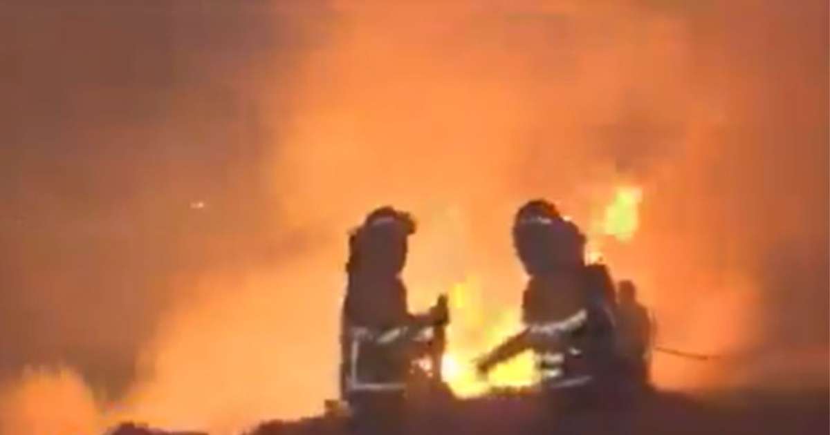 Incêndio florestal atinge capital do Equador e consome 200 hectares; veja vídeo