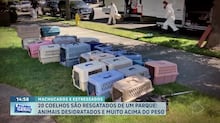 Análise: fazer Otan arcar com despesas da guerra no Irã só enfraquece liderança dos EUA