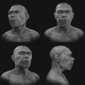 Reconstrução digital revela como poderiam ser os primeiros Homo sapiens que viveram há cerca de 315 mil anos