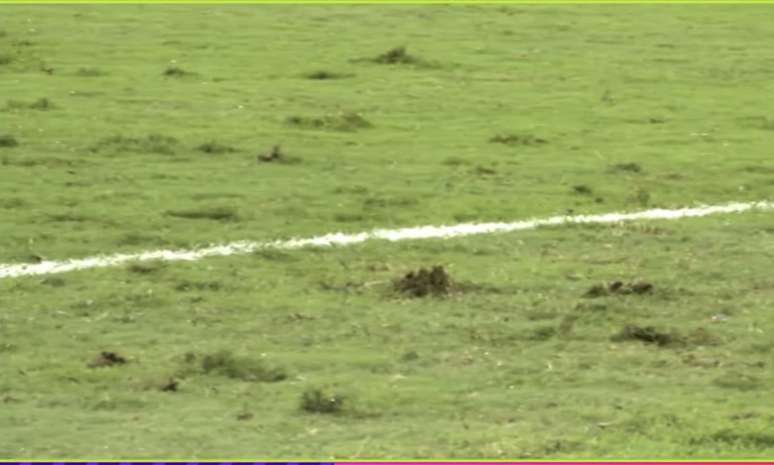Gramado ruim em amistoso da Seleção gera reação de brasileiros nas redes: 'Pasto'