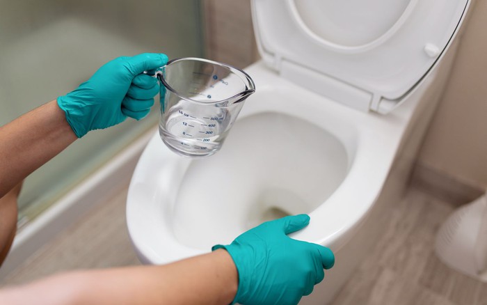 Por que muitas pessoas despejam vinagre na privada? O que acontece após 30 minutos deixa muitas pessoas surpresas