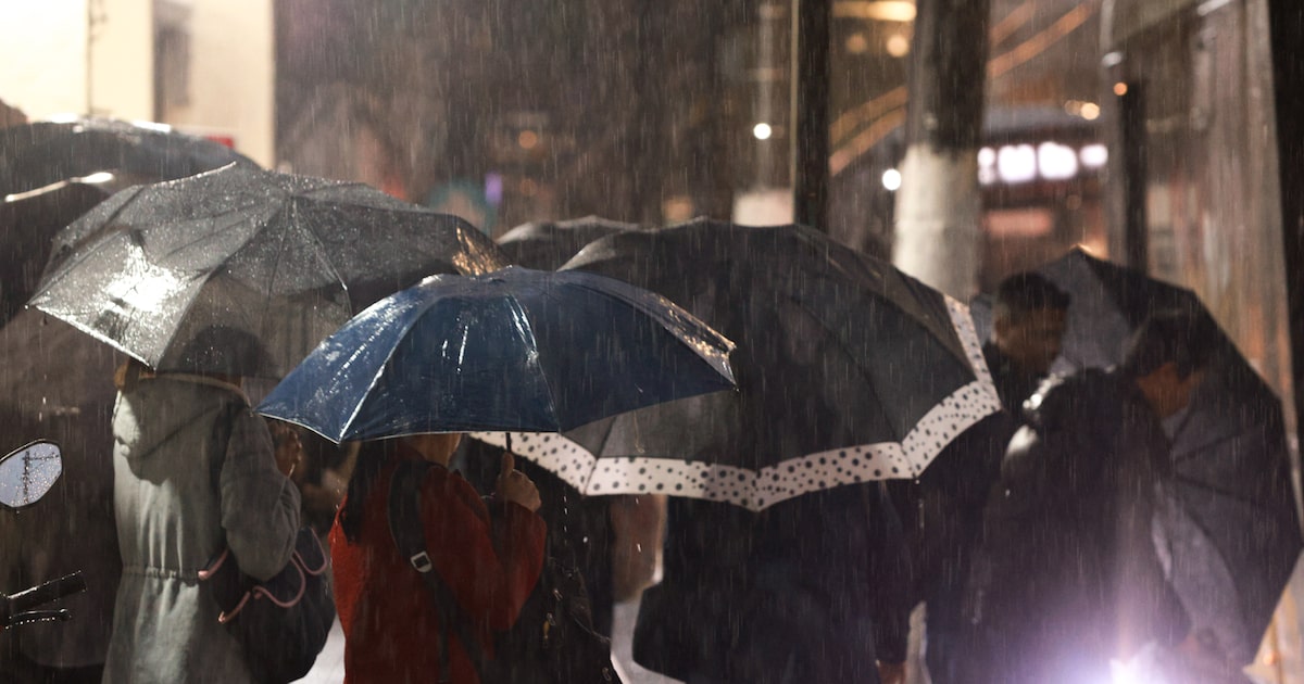 Inmet emite alerta para tempestade, queda de granizo e ventos de 100 km/h em SP; veja até quando