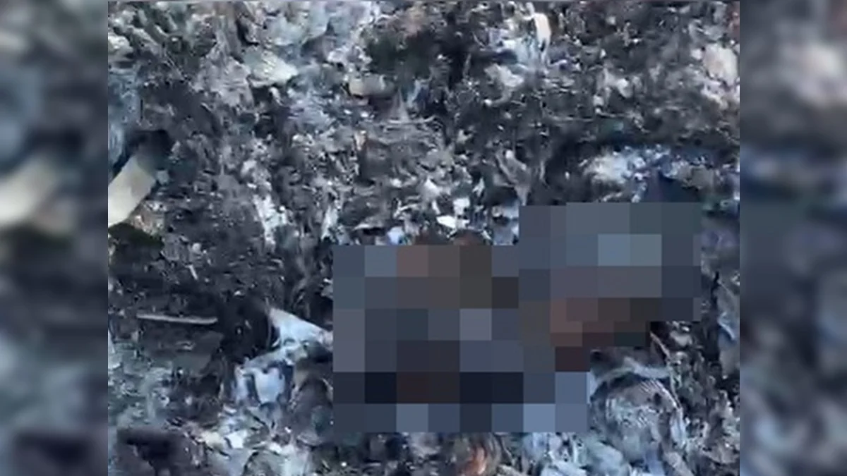 Recém-nascido carbonizado: PCDF recolhe imagens para elucidar o caso
