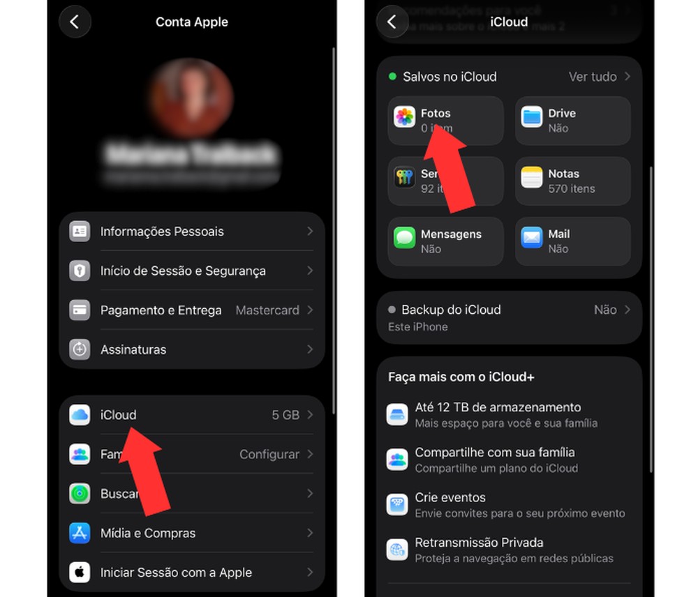 Além de salvar imagens e vídeos no iCloud, é possível "guardar" versões menores das fotos no celular — Foto: Reprodução/Mariana Tralback