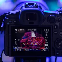 Fotografiar corales para salvar los océanos: el papel de la tecnología en su reproducción