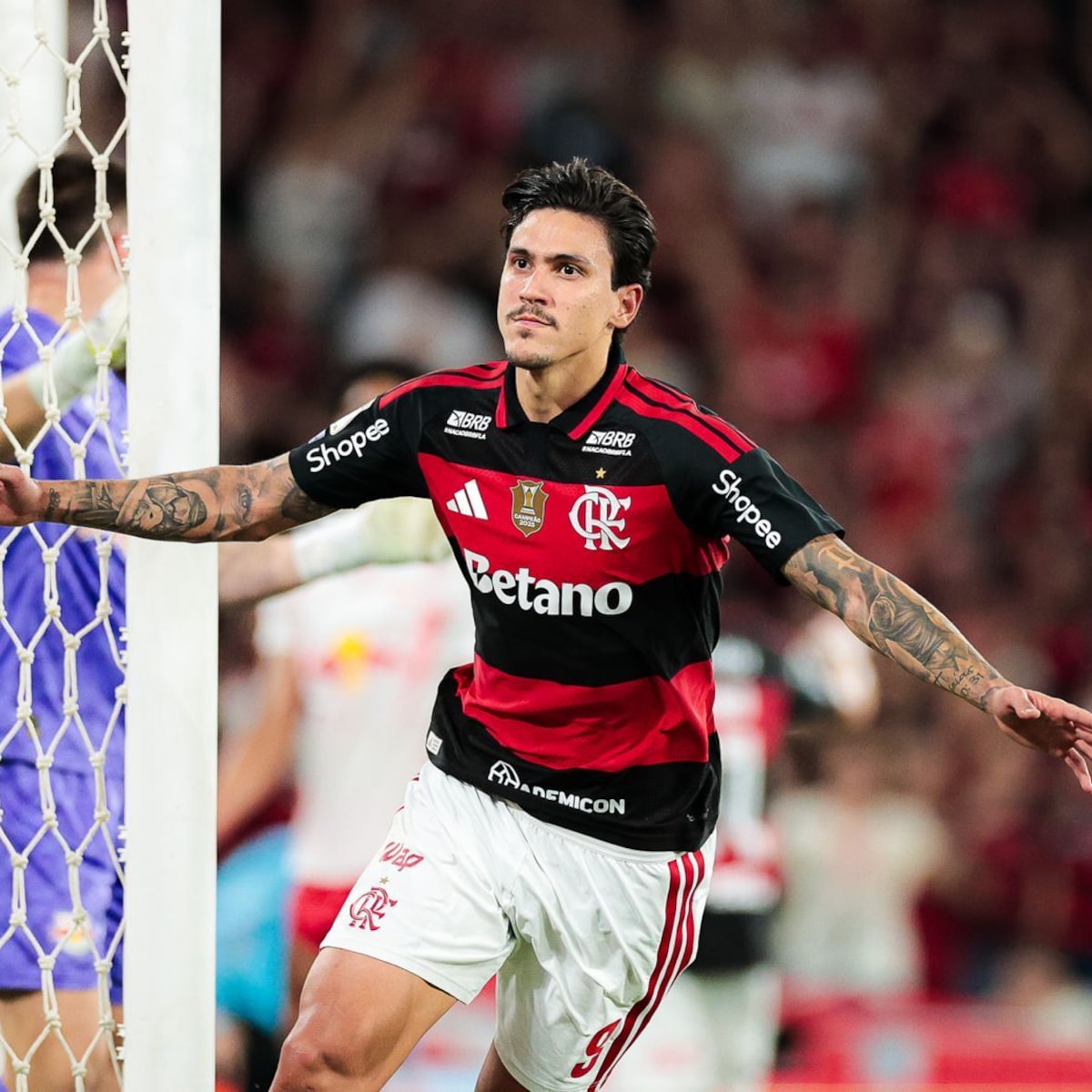Flamengo chega a 76% de título no Brasileirão e deixa Palmeiras longe