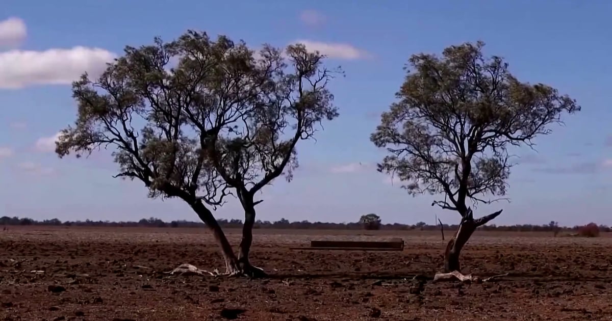 El Niño pode matar 13 mil pessoas no Brasil nos próximos seis meses, afirma estudo