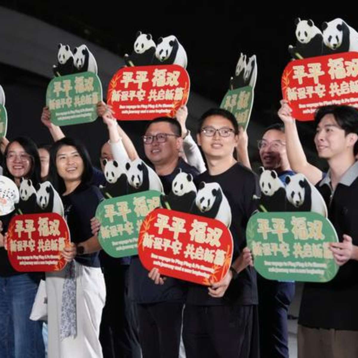 China envia dois pandas-gigantes para zoológico nos EUA