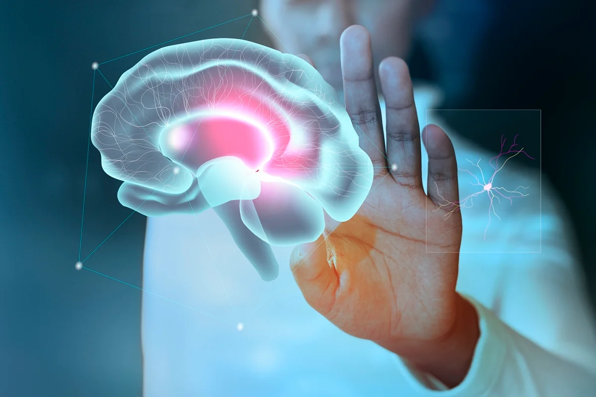 Fundo em PSD com tema de estudo do cérebro para tecnologia médica voltada à saúde mental. Cérebro. Metrópoles