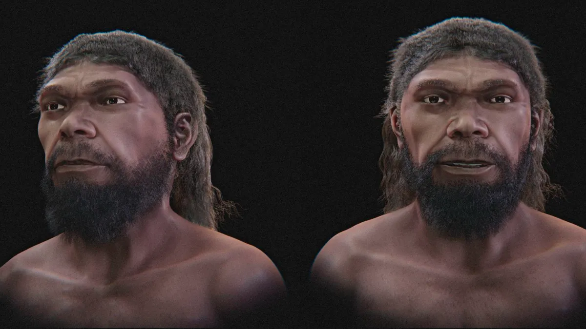 Reconstrução digital revela como poderiam ser os primeiros Homo sapiens que viveram há cerca de 315 mil anos