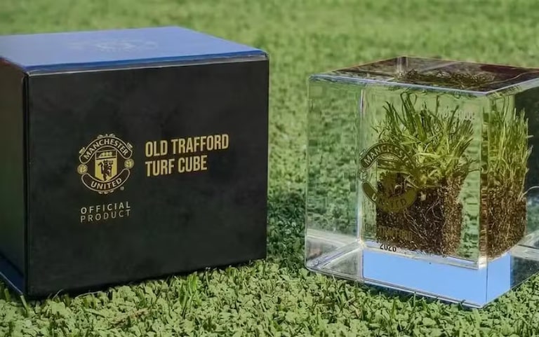 Manchester United registra rombo de R$ 477,6 milhões e vende grama de Old Trafford por R$ 850
