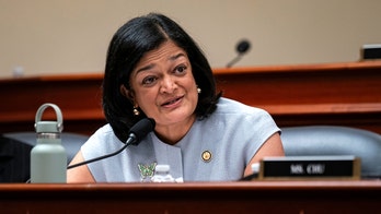 Washington Democrat claims majority of recent DHS arrestees posed 'no threat to public safety'