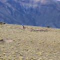 El inédito geoglifo que pudo ser un centro ceremonial e intriga a los arqueólogos