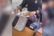 Malas com R$ 1 milhão: entenda operação da PF que afastou 12 servidores
