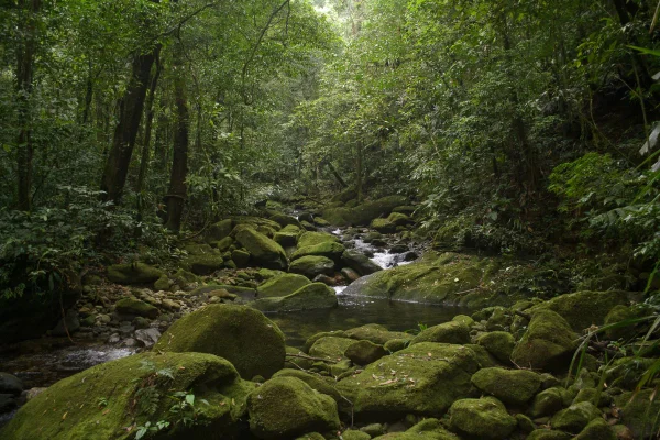 Após 10 anos, MPF fecha acordo sobre área de preservação no litoral de SP - destaque galeria