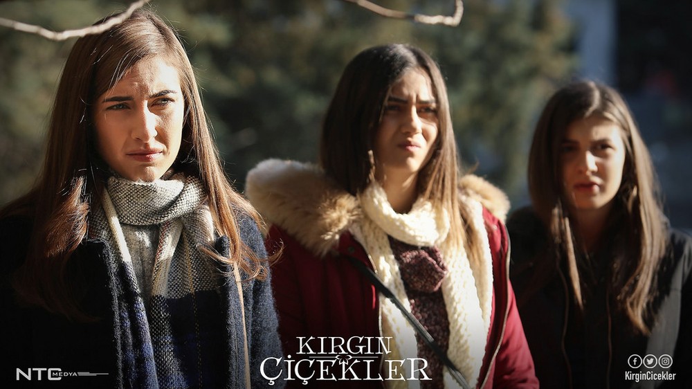 Flores Órfãs é um drama que aborda temas como amizade, superação e conflitos familiares — Foto: Reprodução/IMDb