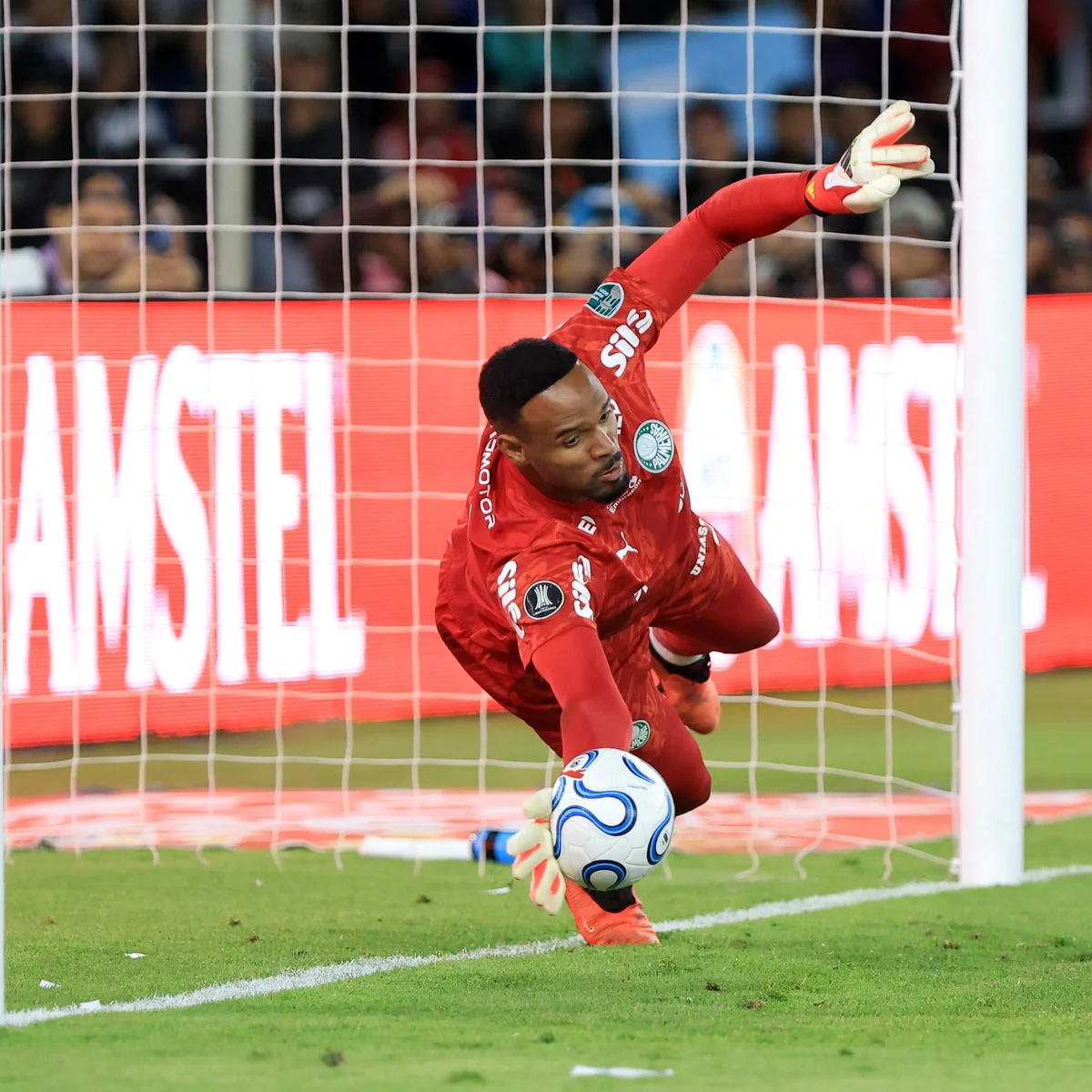 Carlos Miguel iguala feito de Marcos em disputa de pênaltis na Libertadores