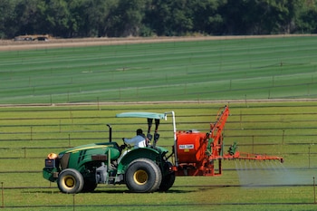 Los inspectores agrícolas de California aplicaron 17.742 medidas por infracciones con plaguicidas entre 2020 y 2025, pero solo el 27,5% derivó en sanciones económicas o penales (REUTERS/Mike Blake)