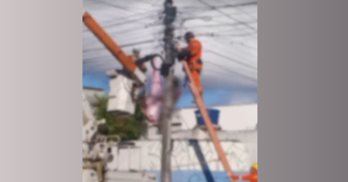 Homem morre em cima de poste e corpo fica preso à fiação em Olinda