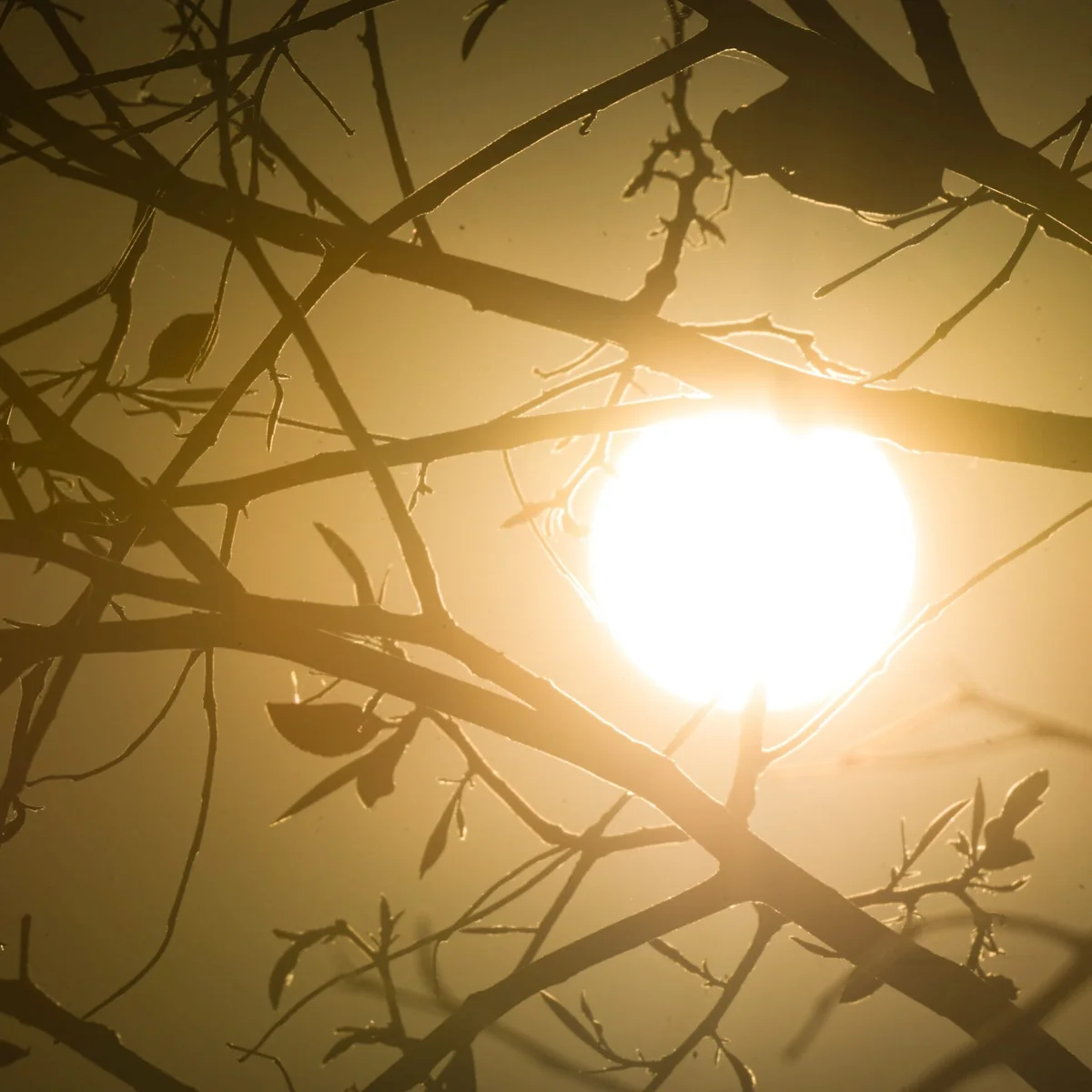 Onda de calor deixa 190 cidades de MG em alerta vermelho; veja lista