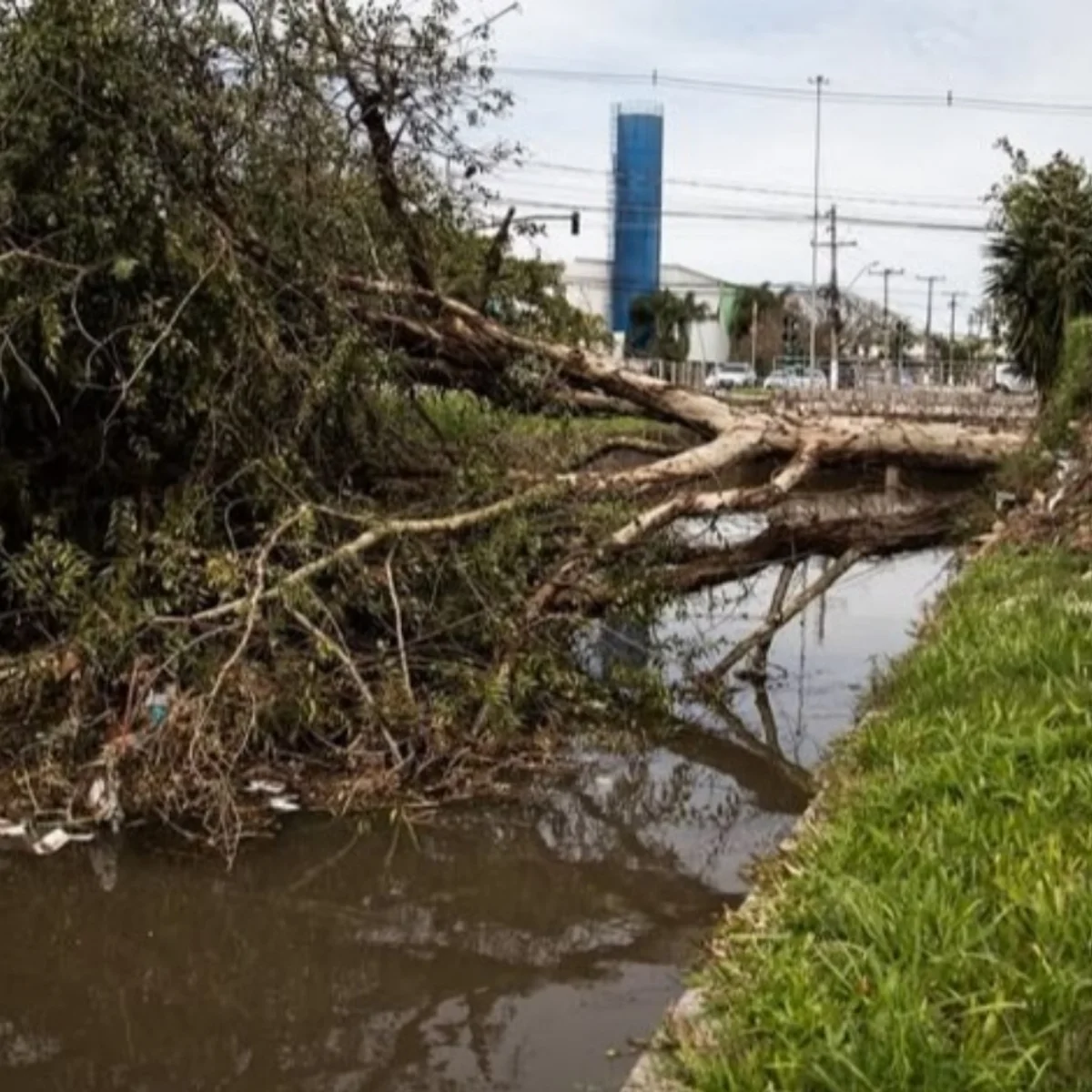 RS: temporais deixam ao menos 4 mortos e rastro de destruição