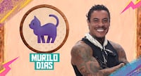 Darlin Ferrattry projeta possível volta de Giovanna Gold: ‘Vou jogar água na cara dela’