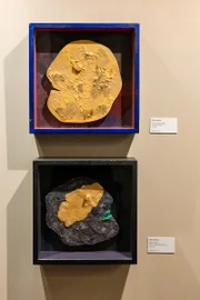 Exposição inédita de Athos Bulcão abre 2ª edição da semana DW! no Casapark
