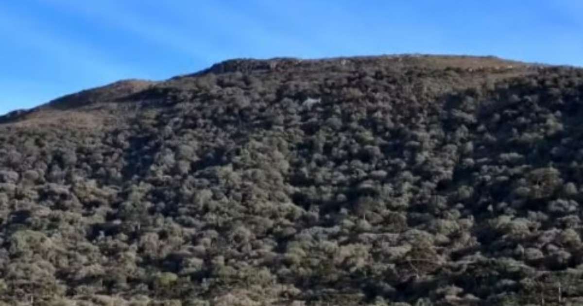 Fantástico refaz trajeto até local onde caiu helicóptero que transportava o cantor Rick