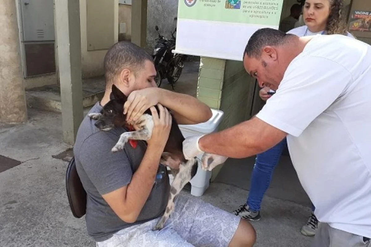 BH terá dois pontos extras para vacinação de cães e gatos contra a raiva