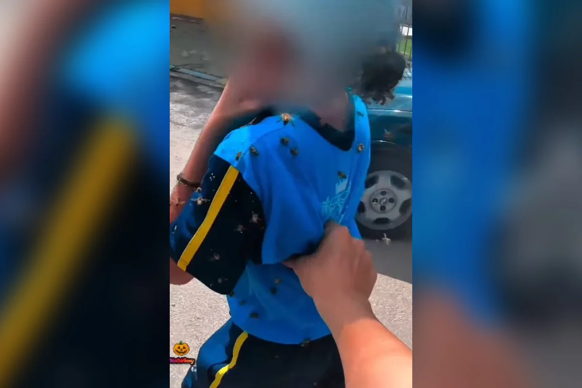 Motoboy ajuda estudante durante ataque de abelhas perto de escola em MG