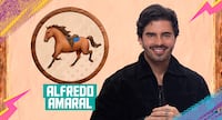 Linguiça da discórdia! Murilo Dias se estranha com Ariela Carasso em briga por comida: ‘Mimimi’