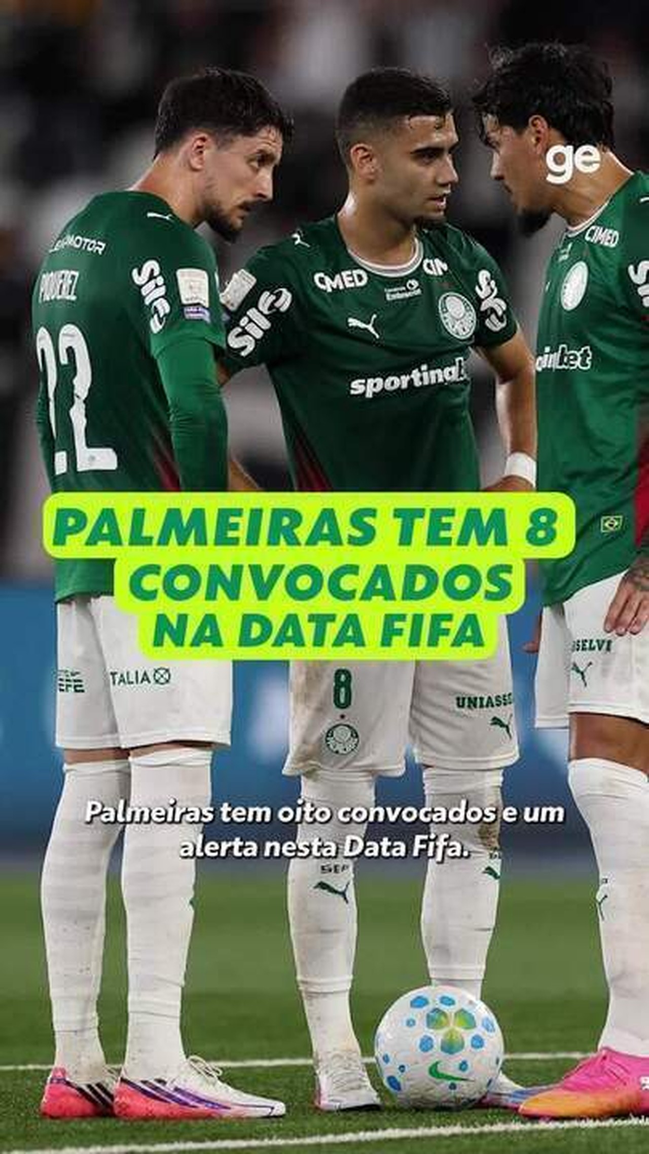 Grupo de conselheiros pede a saída de José Roberto Lamacchia do Palmeiras
