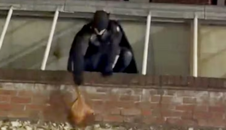 Homem vestido de Batman persegue ladrão e recupera bolsa roubada na Inglaterra