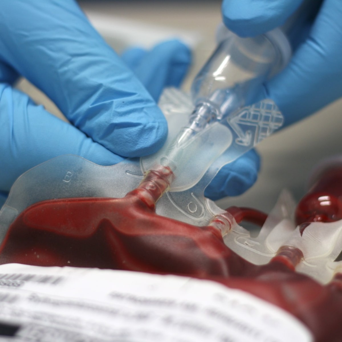 Testemunhas de Jeová adotam nova regra para recebimento e doação de sangue