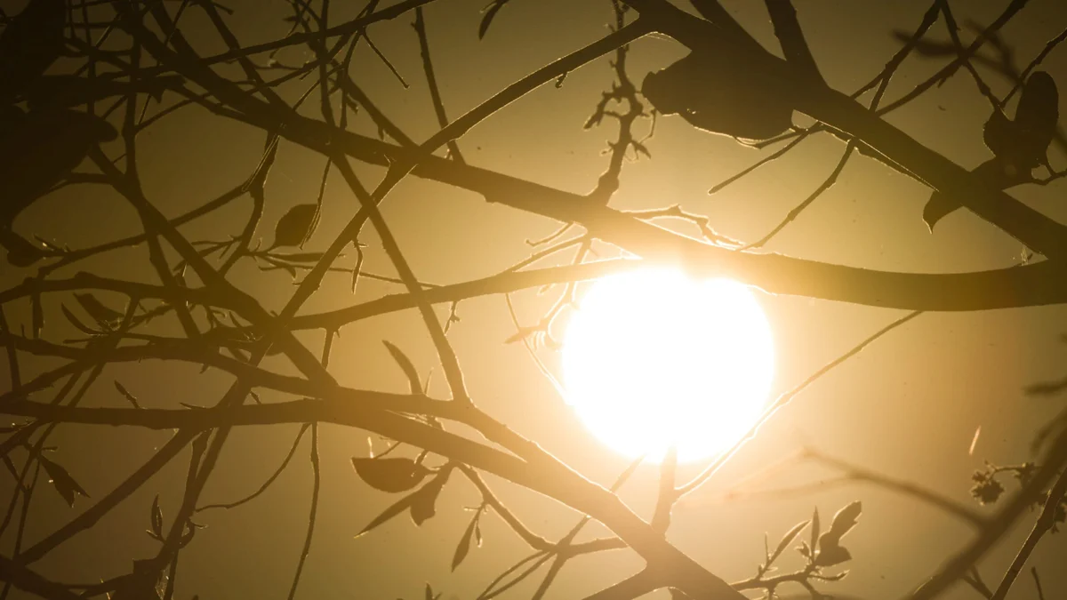 Onda de calor deixa 190 cidades de MG em alerta vermelho; veja lista