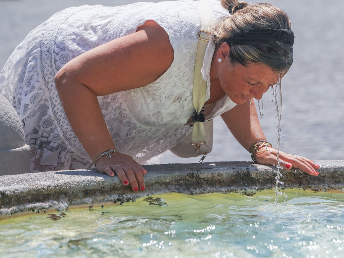 Ondas de calor, mortes e colheitas arruinadas: estudo do verão da Europa desenha um cenário sombrio para o futuro