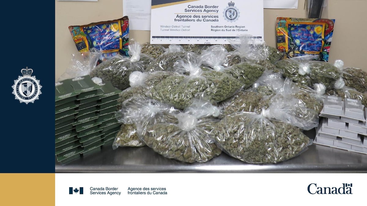 Cannabis confiscated at the Windsor-Detroit Tunnel