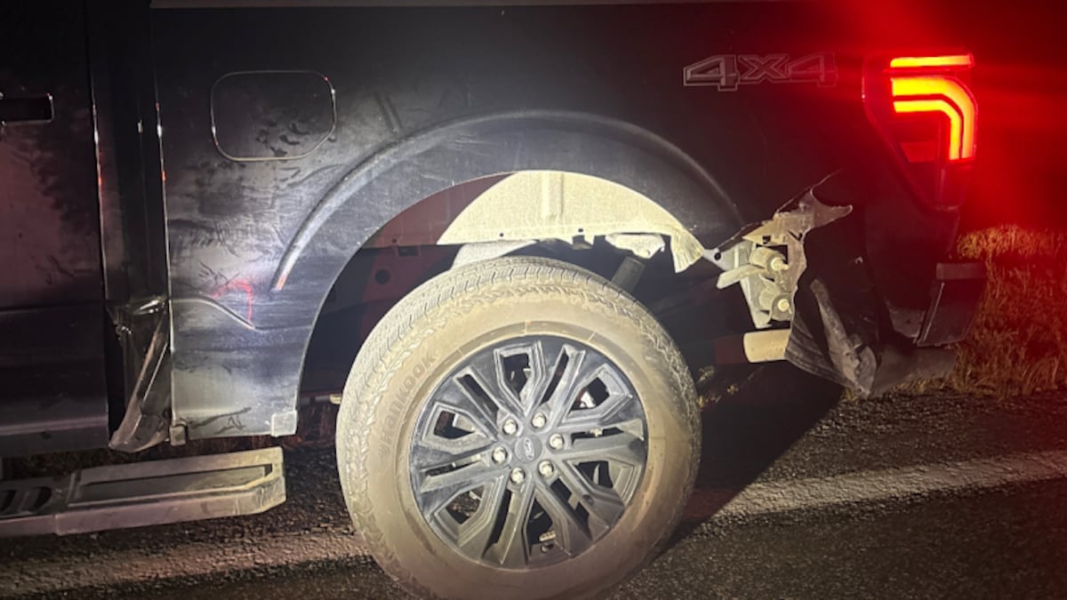 Deer killed after colliding with pickup truck