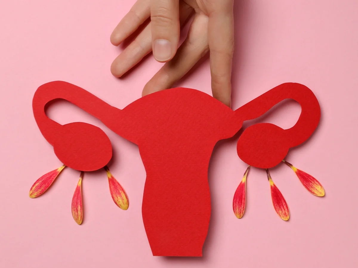 Menopausa: confira alimentos e suplementos para as mulheres priorizarem