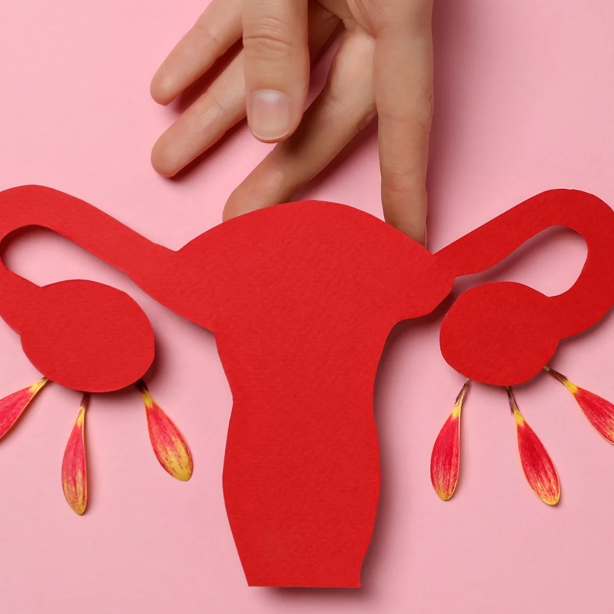 Menopausa: confira alimentos e suplementos para as mulheres priorizarem