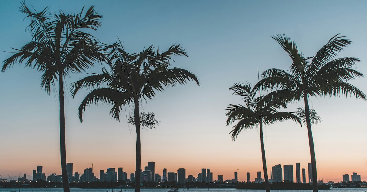 O que esperar de Miami entre outubro e janeiro: cultura, gastronomia e eventos