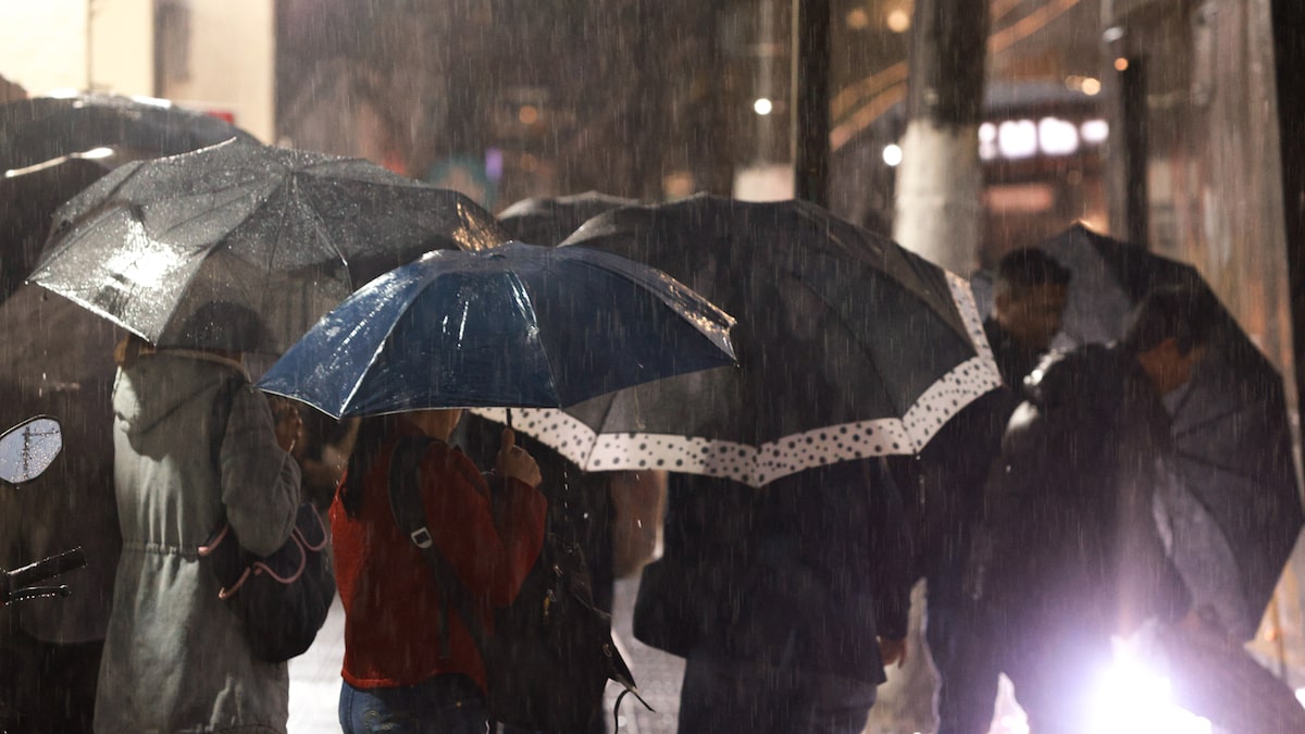 Inmet emite alerta amarelo para tempestade em SP e outras regiões nesta quarta-feira; veja quais