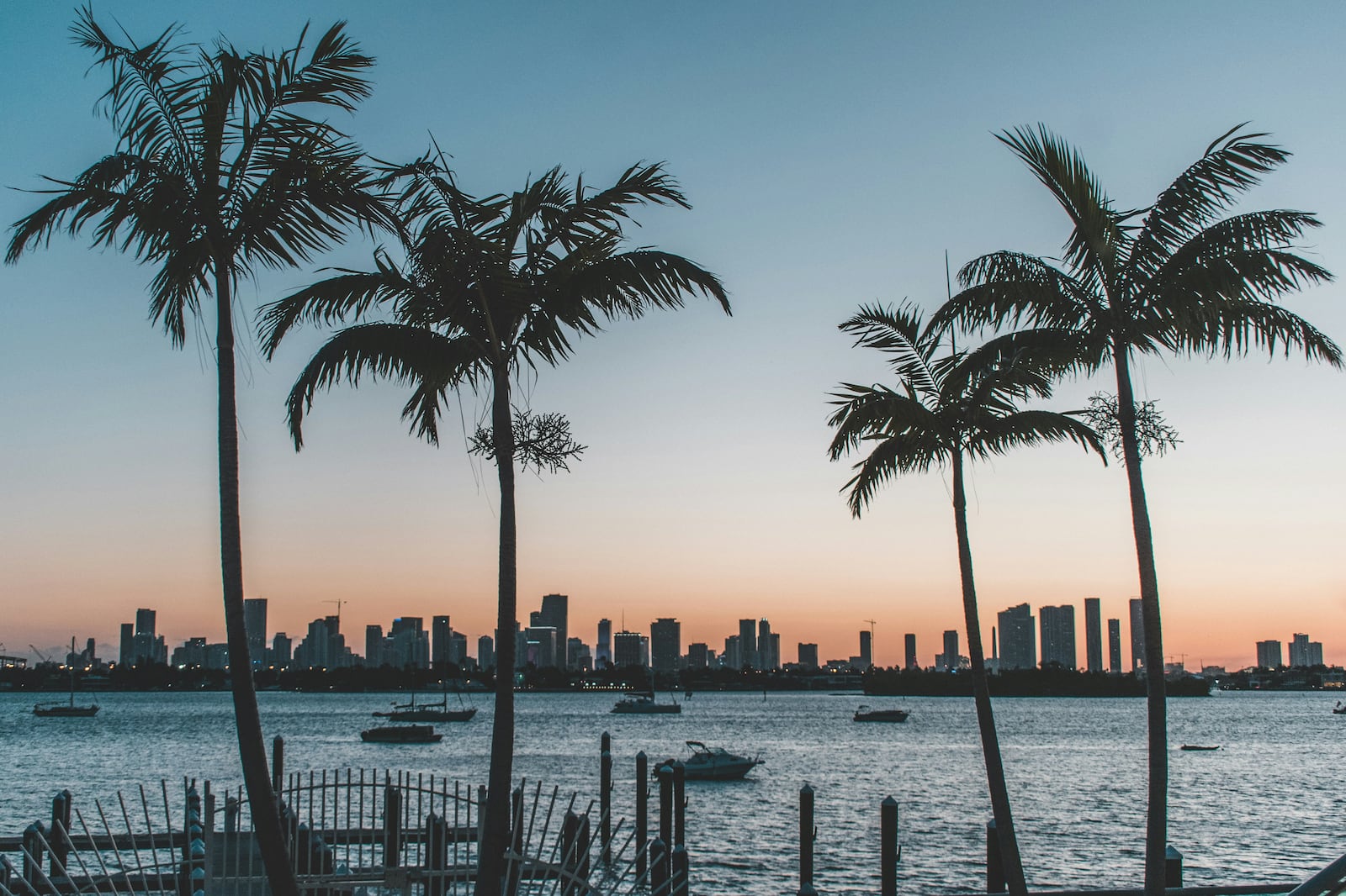 Grandes eventos agitam Miami até 2027. Foto de Denys Kostyuchenko na Unsplash