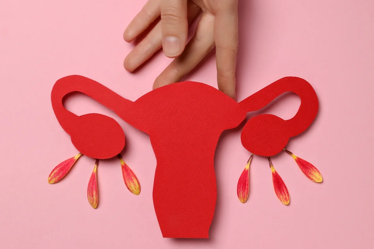 Menopausa: confira alimentos e suplementos para as mulheres priorizarem