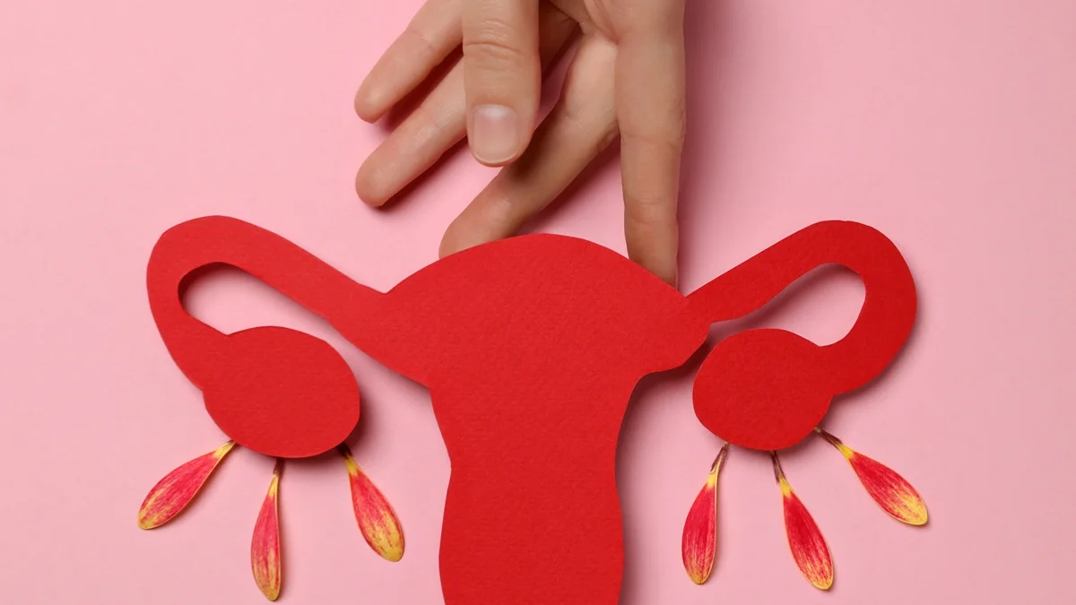Menopausa: confira alimentos e suplementos para as mulheres priorizarem