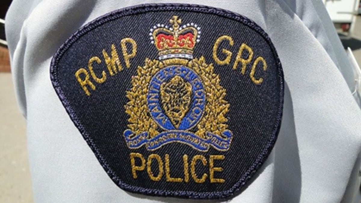 Woman arrested for impaired driving after crashing car into ditch, N.S. police say
