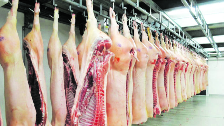 Agricultores buscam vendas supervisionadas de gado em meio à FMD