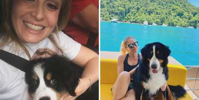 Ang&eacute;lica se emociona com a morte de cachorro da fam&iacute;lia: &lsquo;Nosso grand&atilde;o vai fazer muita falta&rsquo; Foto: Reprodu&ccedil;&atilde;o/Instagram