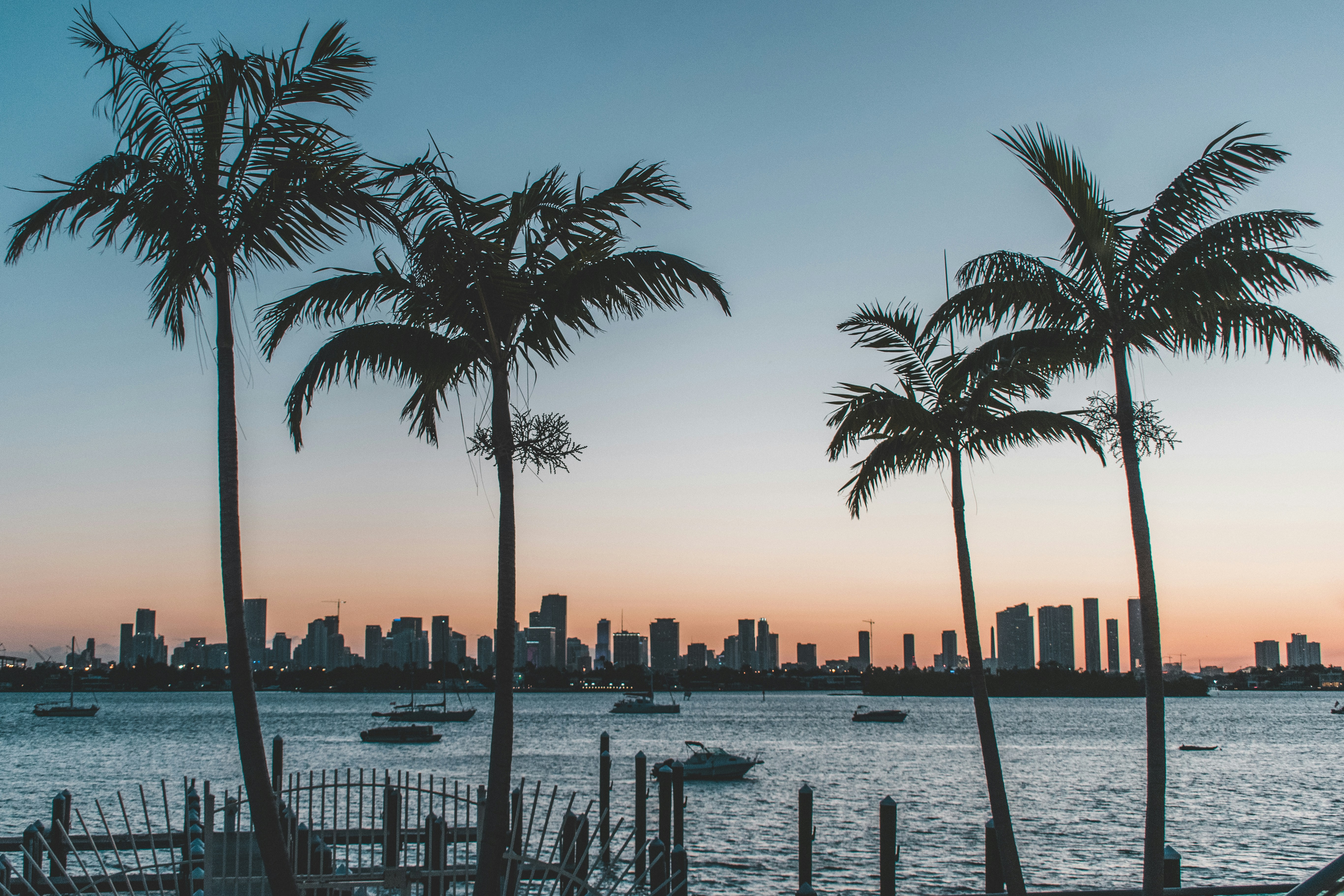 O que esperar de Miami entre outubro e janeiro: cultura, gastronomia e eventos
