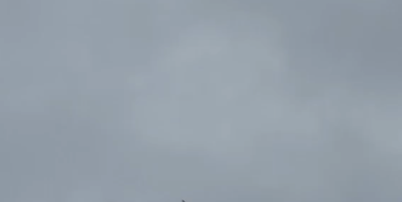 Avi&atilde;o da Gol colide com p&aacute;ssaro e tem que voltar ao Aeroporto Internacional de Recife (PE) Foto: Reprodu&ccedil;&atilde;o / X
